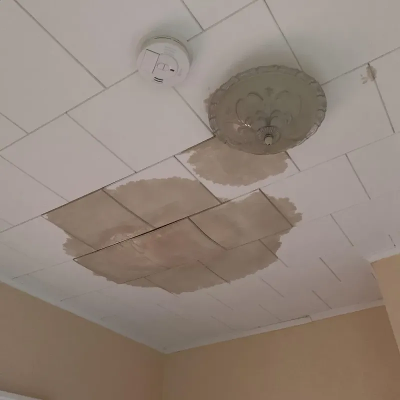 Ceiling Water Damage Repair in Fairfield, IA