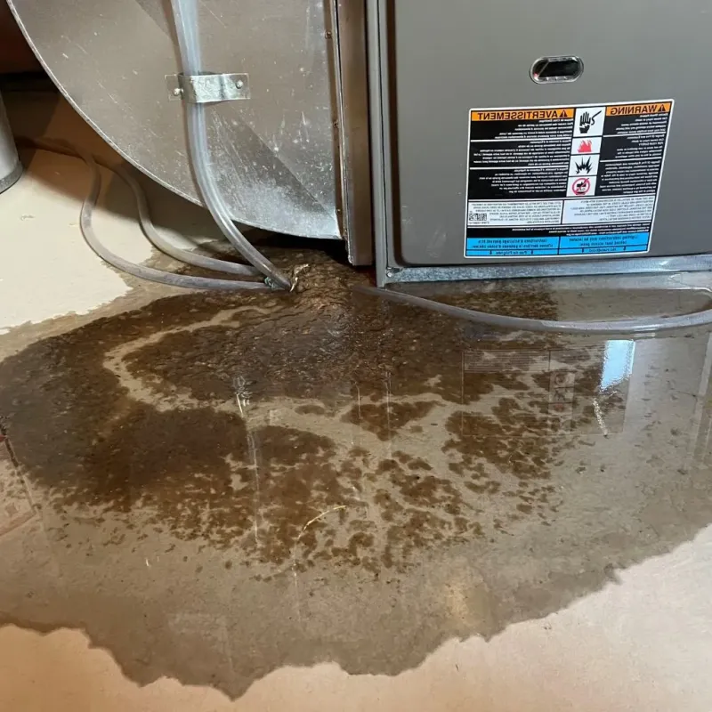Pipe Burst and Leak Restoration in Fairfield, IA