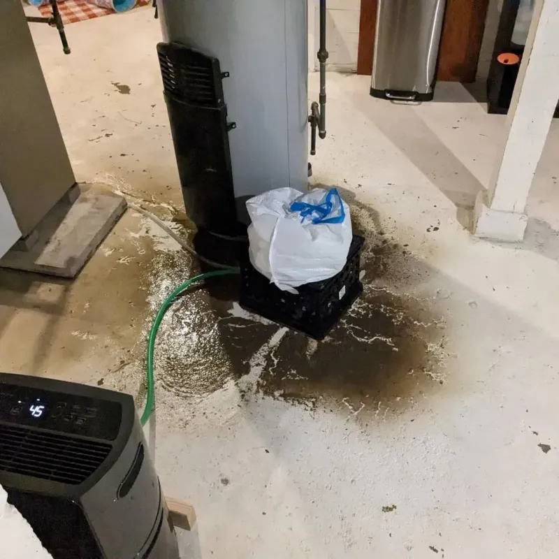 Sewage Backup Cleanup Service in Fairfield, IA